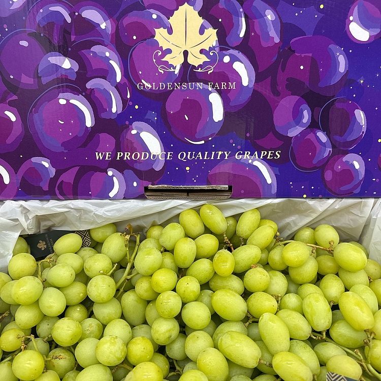whole-boxaustralian-king-grapes-approx-45kg-3