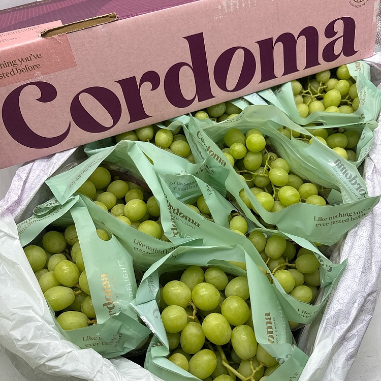 cordoma-green-raisin-approx-1kg-1