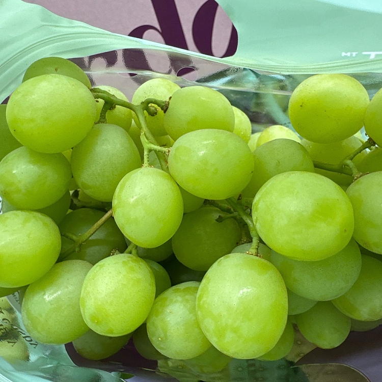 cordoma-green-raisin-approx-1kg-2