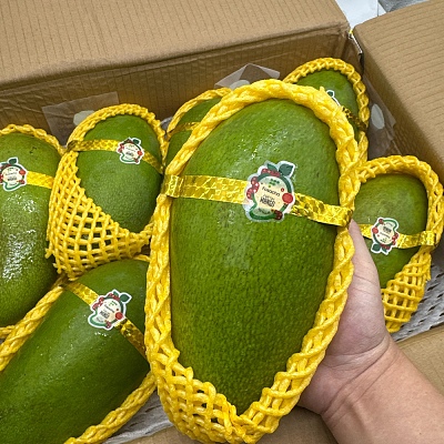 越南青芒果 Green Mango 1个