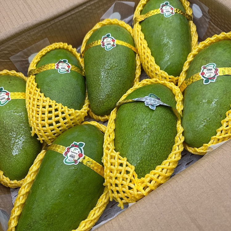1-vietnamese-green-mango-2