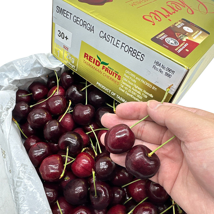 tasmania-reidsweetgeorgiacastleforbes-cherry-4