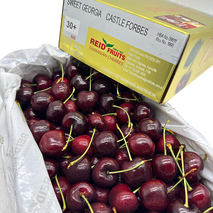 tasmania-reidsweetgeorgiacastleforbes-cherry-2