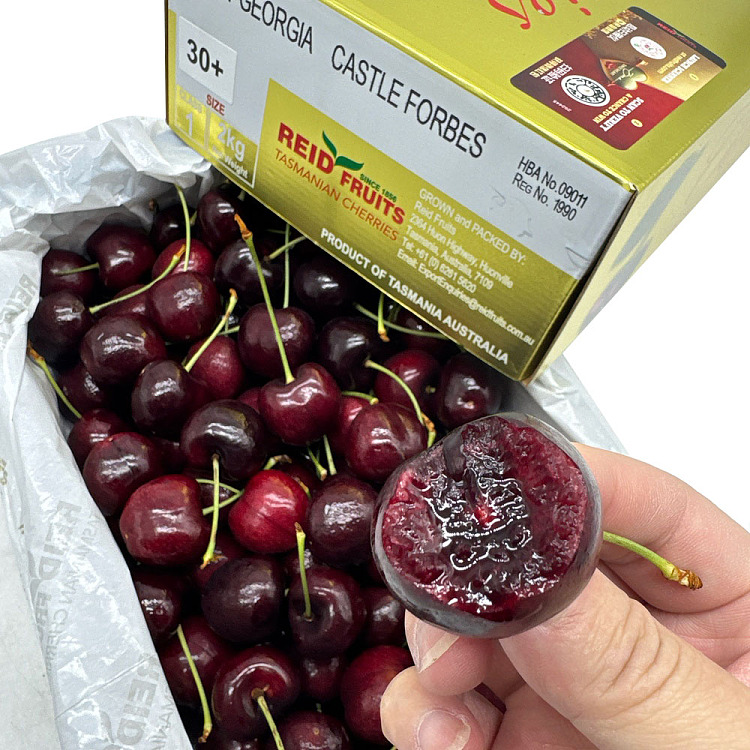 tasmania-reidsweetgeorgiacastleforbes-cherry-1
