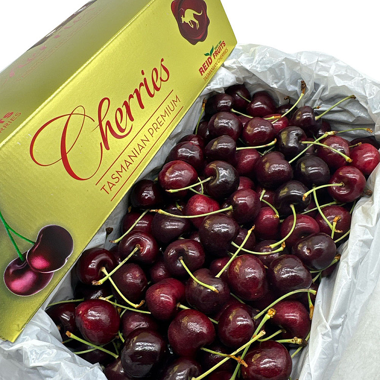 tasmania-reidsweetgeorgiacastleforbes-cherry-3