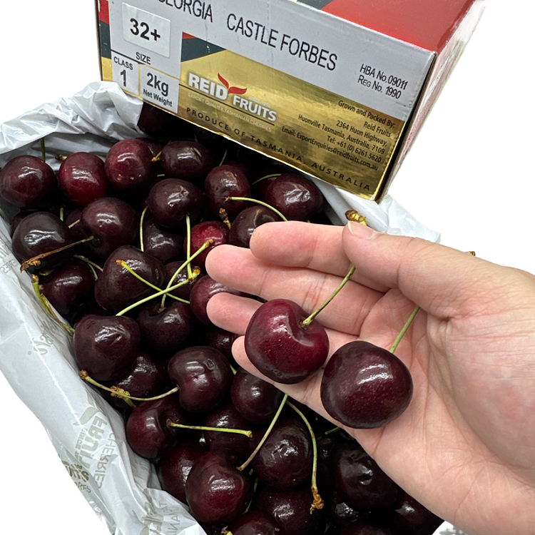 tasmania-reidsweetgeorgia-cherries-32mm-gift-box-2kg-2