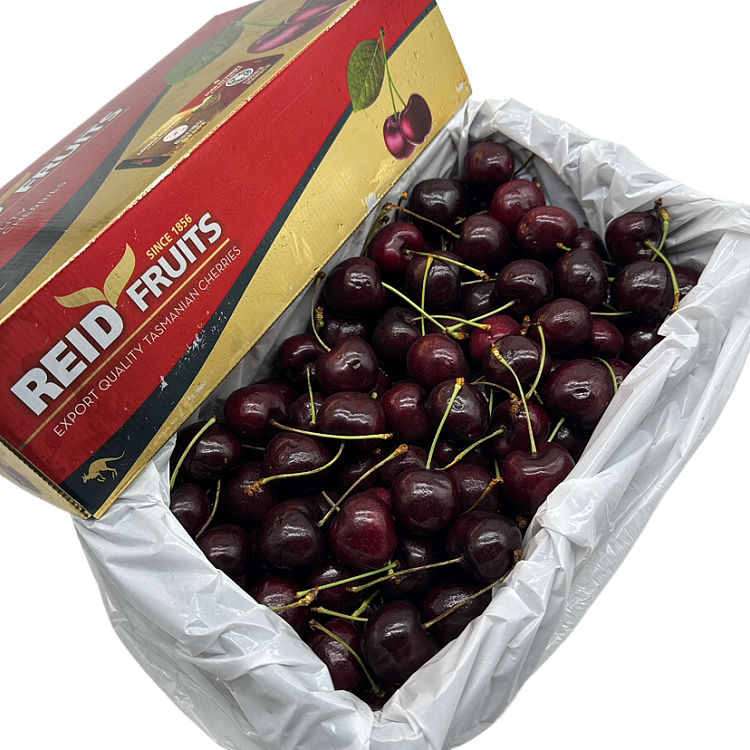 tasmania-reidsweetgeorgia-cherries-32mm-gift-box-2kg-1