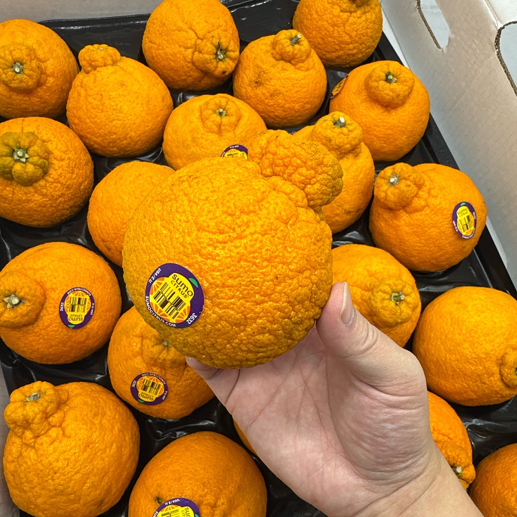 ugly-orange-2