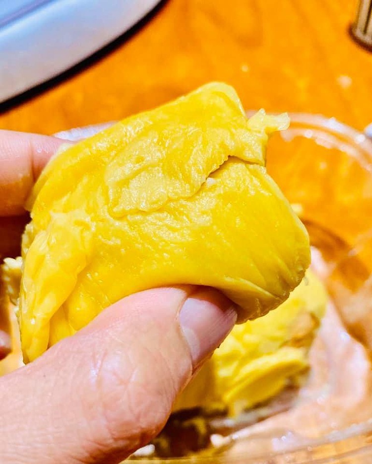 frozen-ri6-vietnamese-gaoyao-durian-meat-400g-6
