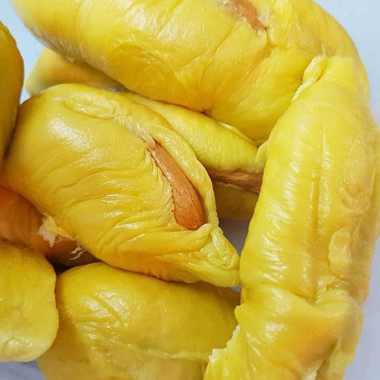 frozen-ri6-vietnamese-gaoyao-durian-meat-400g-5