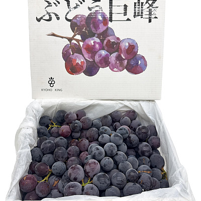 【整箱】KYOHO KING 日本老树巨峰葡萄 澳洲种植 约2kg