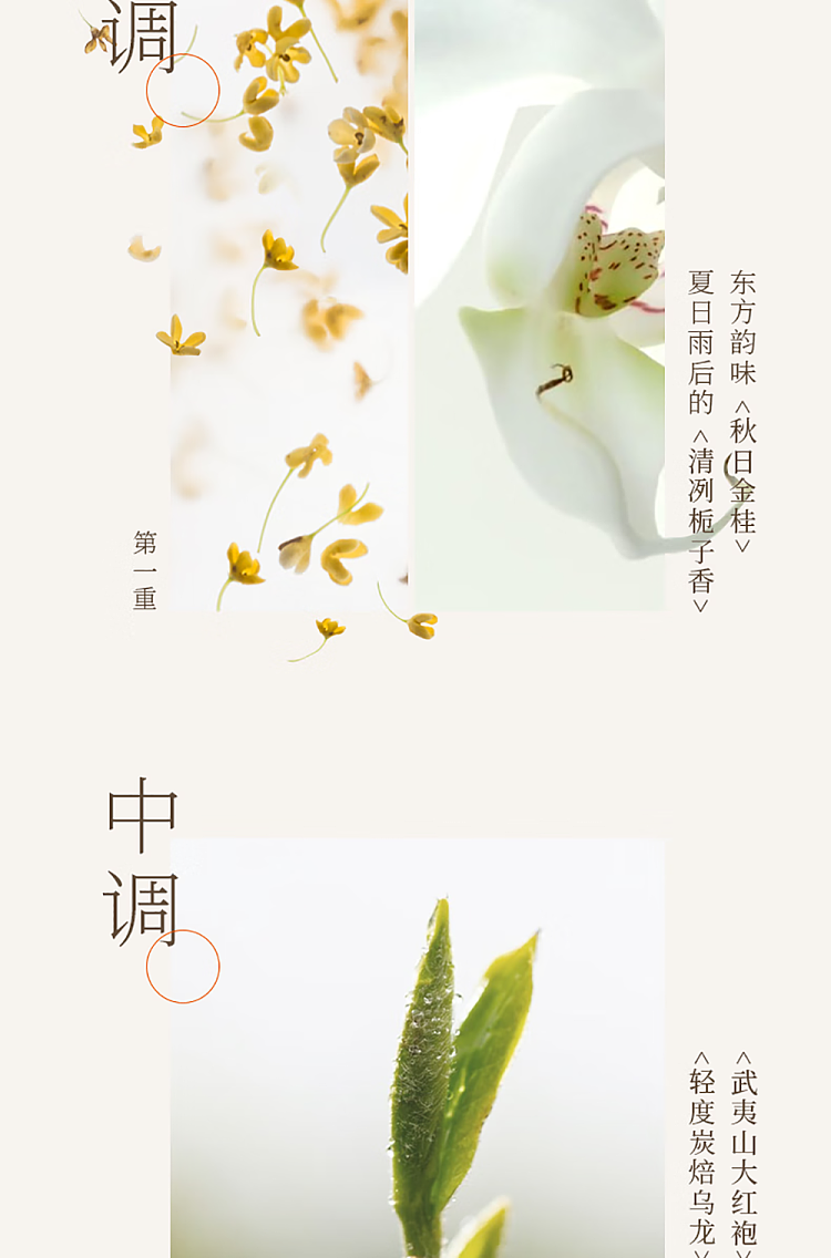 fruit-ripe-unsweetened-tea-green-green-longjing-500ml15-11