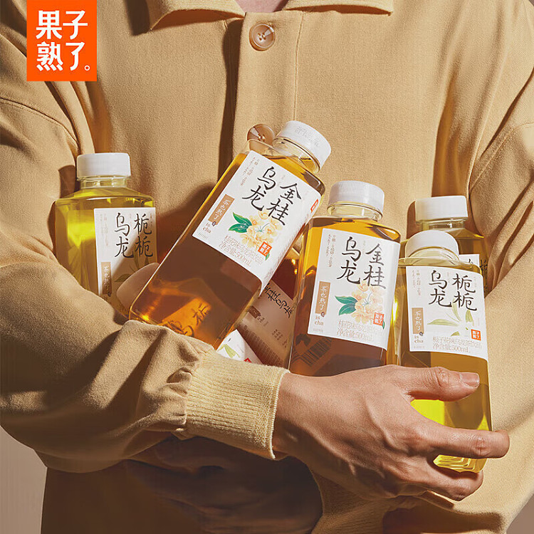 fruit-ripe-unsweetened-tea-green-green-longjing-500ml15-3
