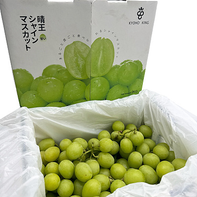 【整箱】KYOHO KING 秋天脆晴王 特选礼盒 2KG