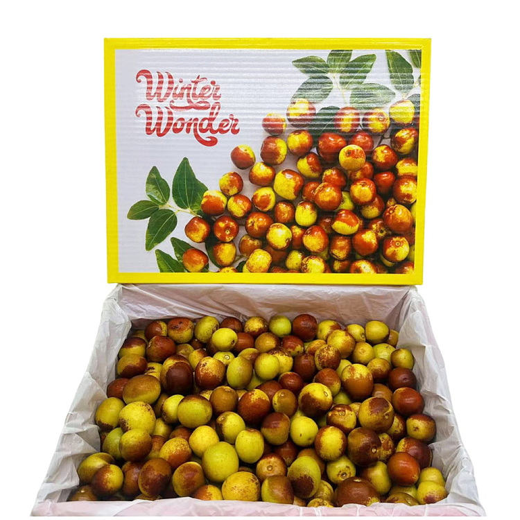 dragon-brand-winterwonder-ice-sugar-dates-about-500g-3