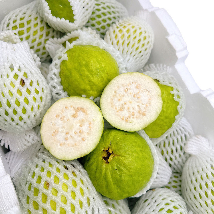 white-heart-guava-about-1kg-1