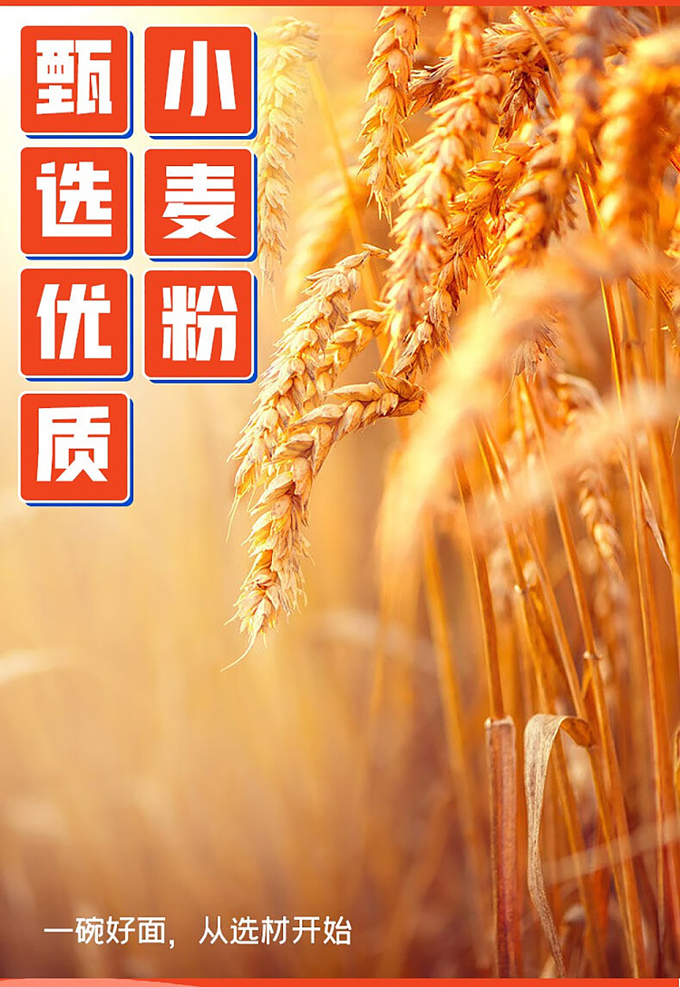 siu-lo-lo-car-noodle-with-hong-kong-style-sauce-1236kg-1
