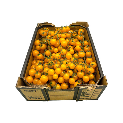 【整箱】带枝脆甜黄番茄 约5kg