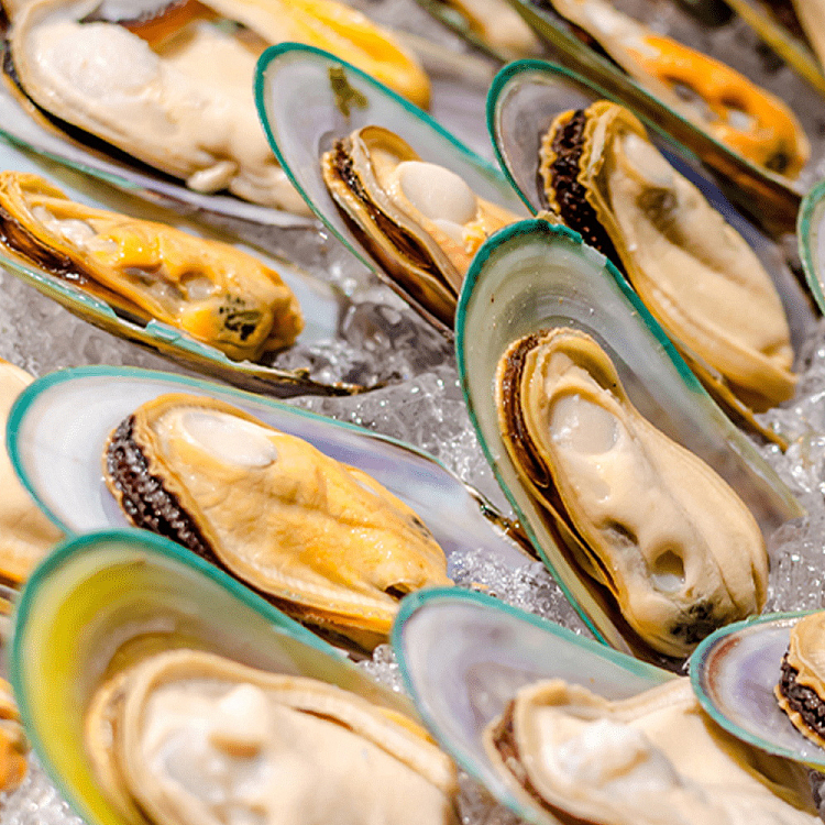 freezenew-zealand-half-shell-mussels-nzhalfgreenshellmussels907g-1
