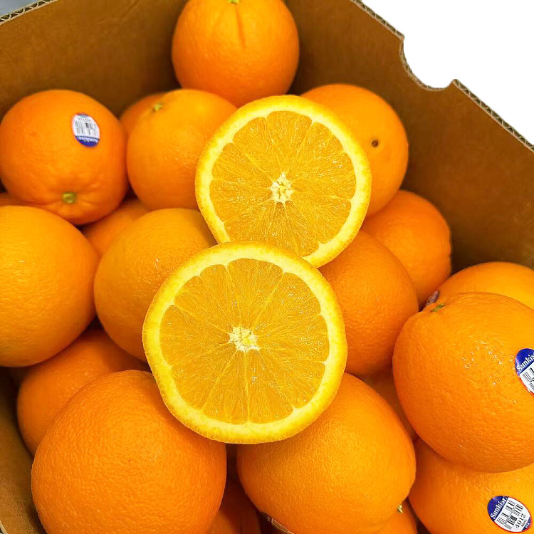 3-american-sweet-oranges-navel-1