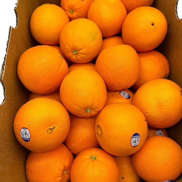 3-american-sweet-oranges-navel-2