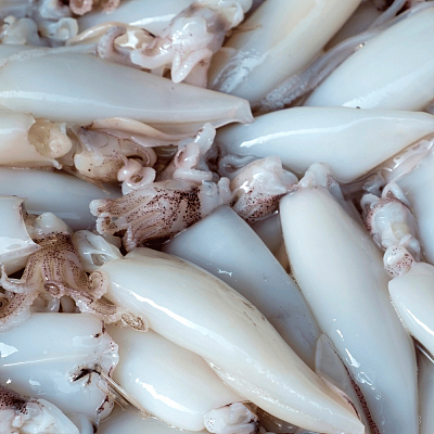 【冻】整条鱿鱼 (已清理）Whole Loligo Squid Size 4/6 约1kg