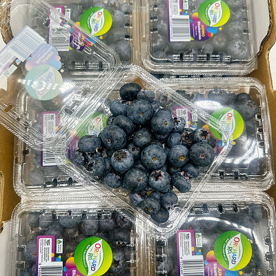 澳洲T&G蓝莓 Blueberry 1盒 约125g