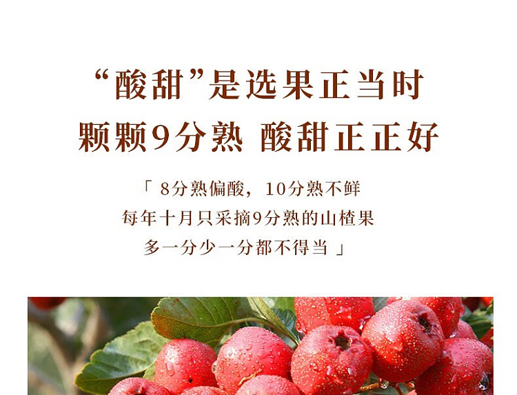 yida-fruit-dandelion-200g-7