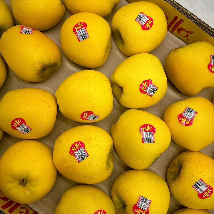 yellow-yellow-apple-large-2pcs-1