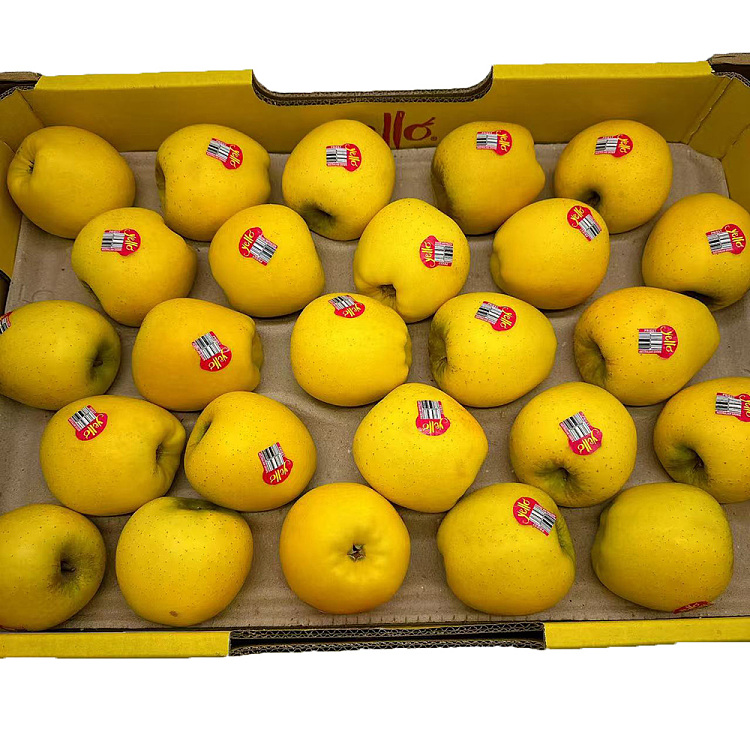 yellow-yellow-apple-large-2pcs-2