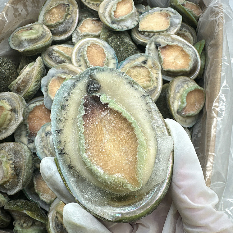 frozen-nanao-green-side-abalone-8-heads-about-1kg-1
