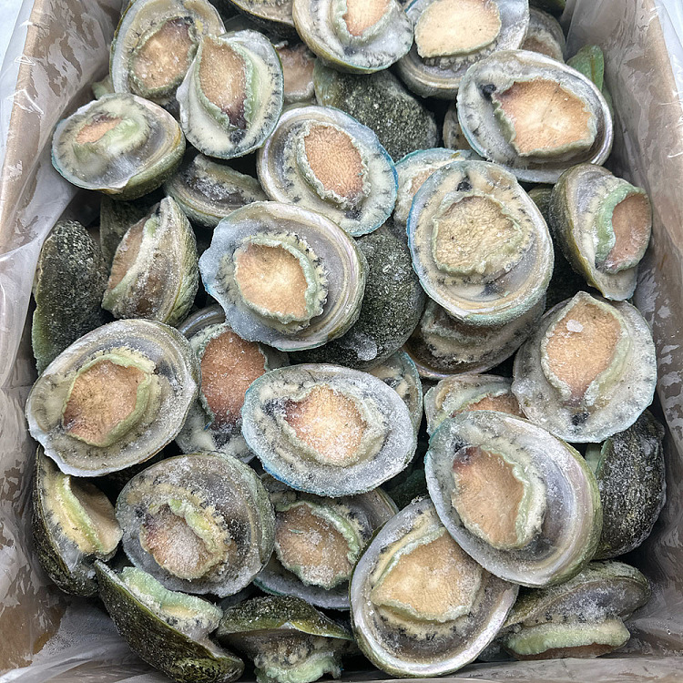 frozen-nanao-green-side-abalone-8-heads-about-1kg-2