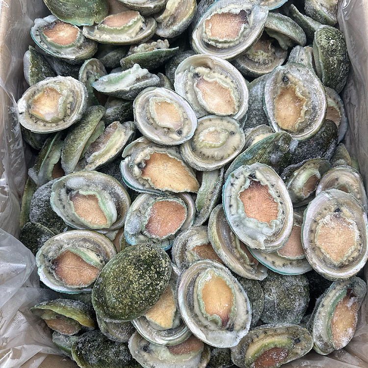 frozennanao-green-abalone-14-heads-about-1kg-2
