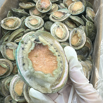 【冻】南澳青边鲍鱼 14头 约1kg