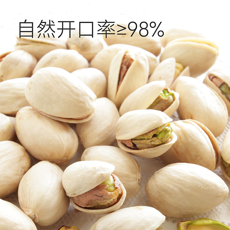 exclusive-to-australiafat-tung-lai-self-supporting-brand-dl-original-pistachios-600g-2