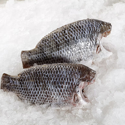 【冻】罗非鱼（去头去鳞去内脏）Cleaned Black Tilapia 约450-500g