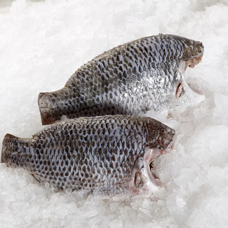 frozen-tilapia-headless-scaled-and-gutted-cleanedblacktilapia-about-450-500g-1