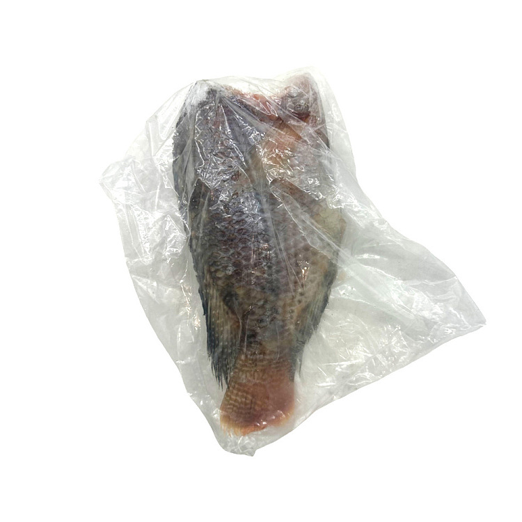 frozen-tilapia-headless-scaled-and-gutted-cleanedblacktilapia-about-450-500g-2