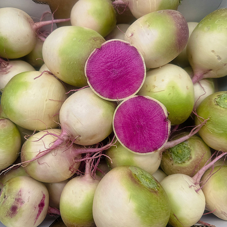 approx-1-11kg-of-turnip-in-the-heart-1