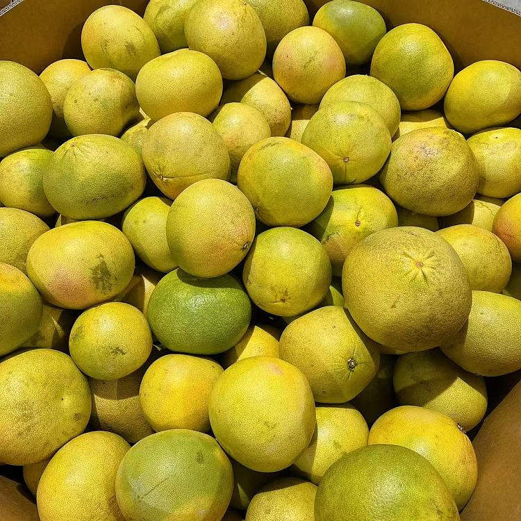 queensland-red-heart-pomelo-1pc-about-08-1kg-1