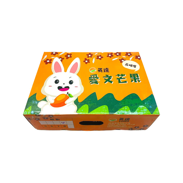 air-freight-1-taiwan-avon-mango-4