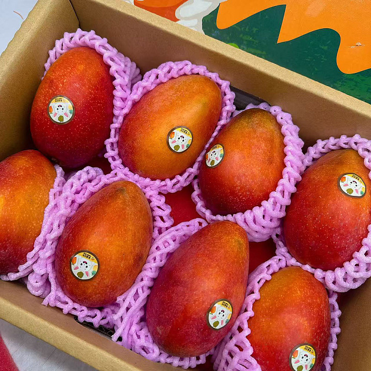 air-freight-1-taiwan-avon-mango-2