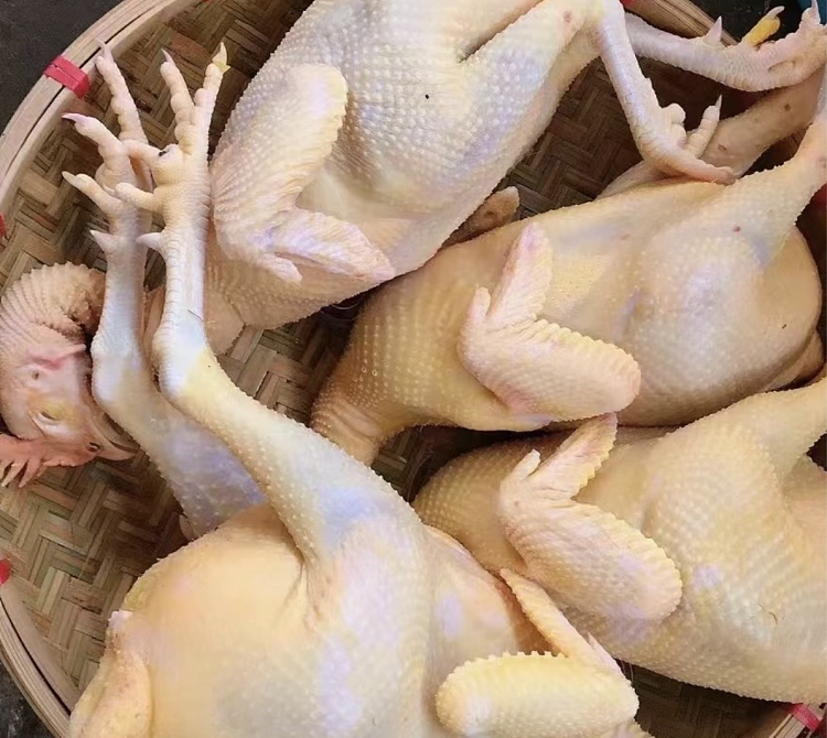 frozenfive-grain-free-range-hens-about-1kg-1