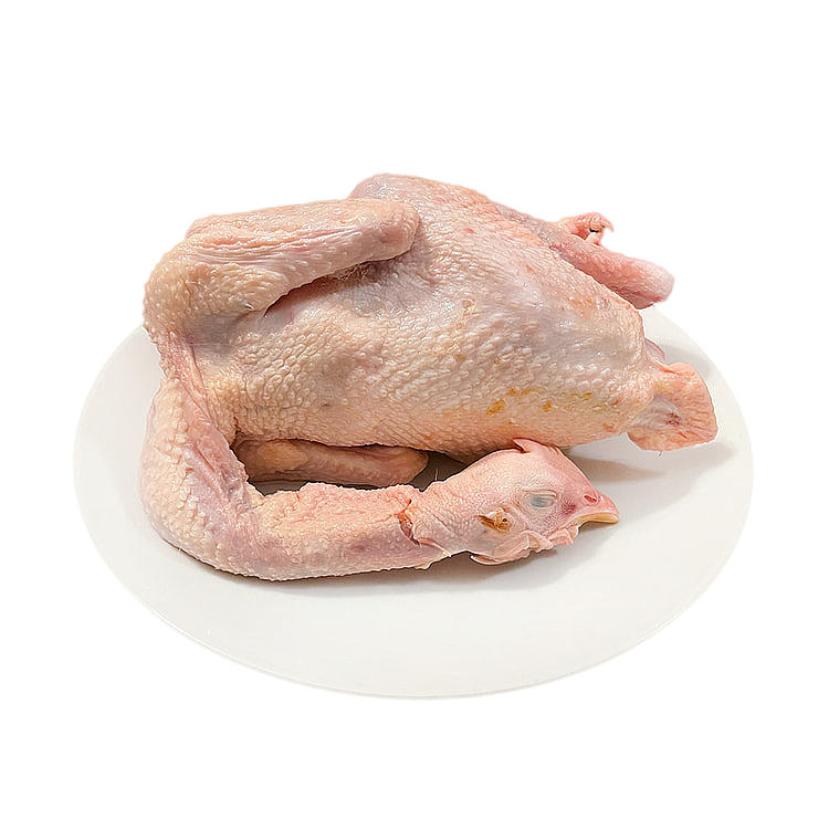 frozen-ground-tender-chicken-approx-12-15kg-4