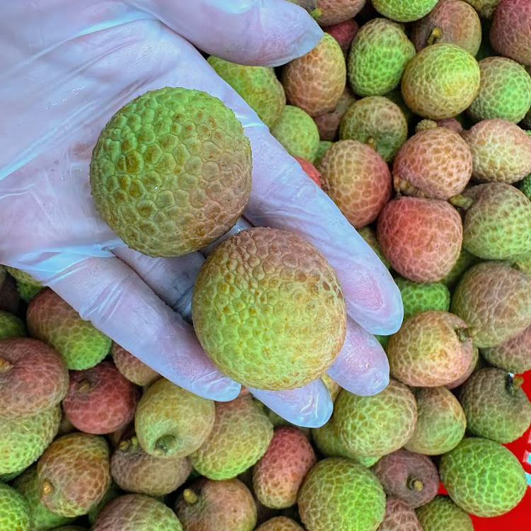 fresh-osmanthus-scented-lychee-about-500g-2