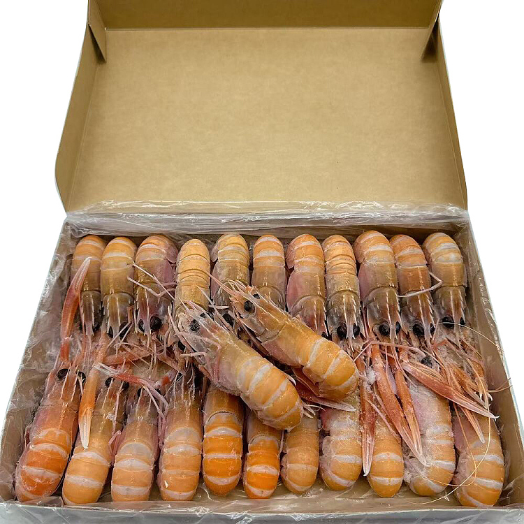 austfish-export-grade-wild-crayfish-no4-approx-1kg-3