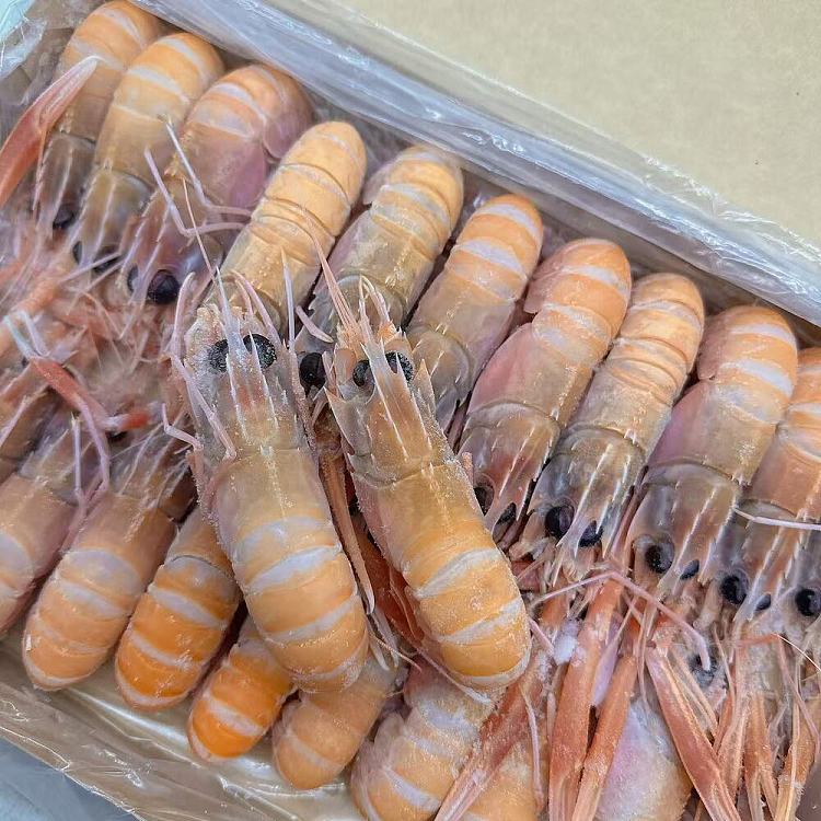 austfish-export-grade-wild-crayfish-no4-approx-1kg-1
