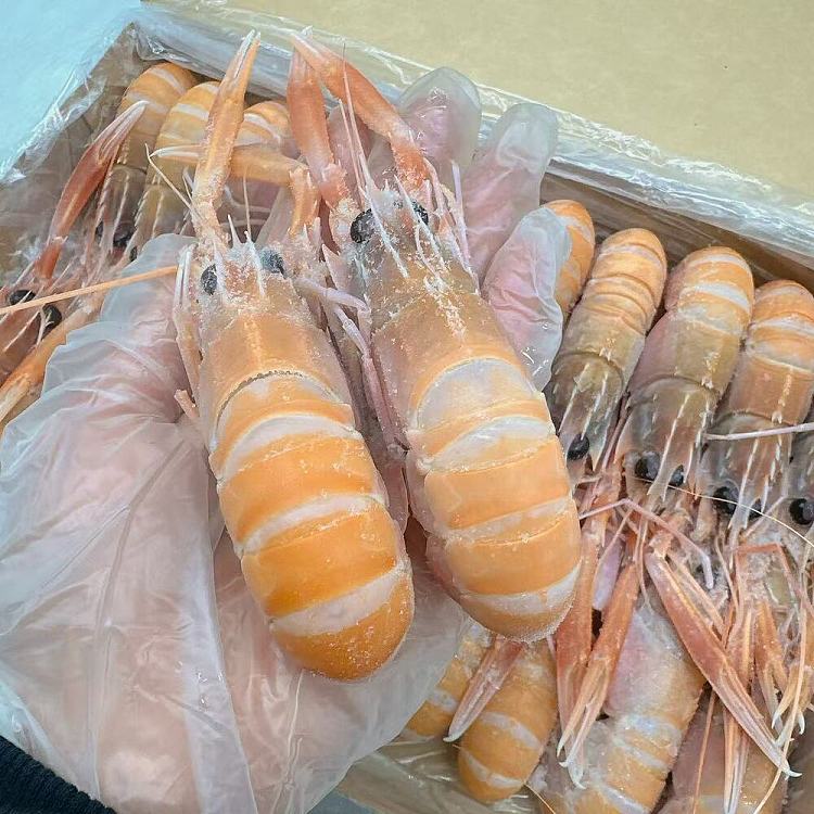 austfish-export-grade-wild-crayfish-no4-approx-1kg-2