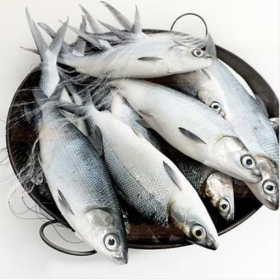 【冻】虱目鱼 Milkfish 整条 约600-800g