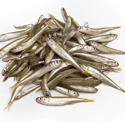 【冻】澳洲小银鱼 约1kg